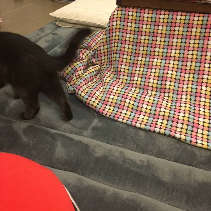 Dd1c8480 94f7 404a 8c4a b59e05f26a81 1548430910759