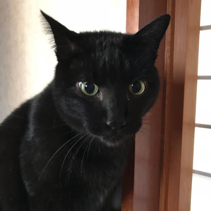 Dd1c87ec ad90 4c3c a88a 3277dac093ea 1517190580126