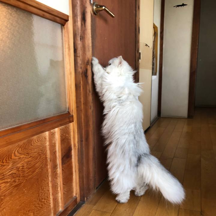 Dd1c8c08 ca5d 4c3f 8382 92872df78e60 1557016133035