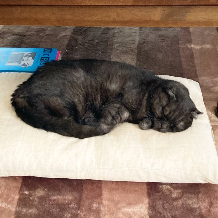 Dd1cc985 b5a6 4bfe bf82 a15fe9e9324c 1592961090751