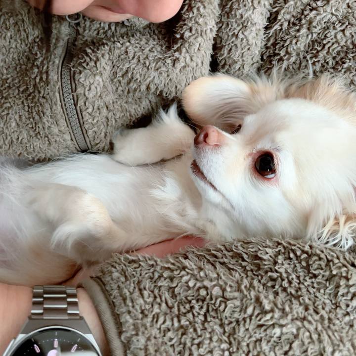 Dd1cf029 28af 4b94 934e 67c0580a0857 1710906149001