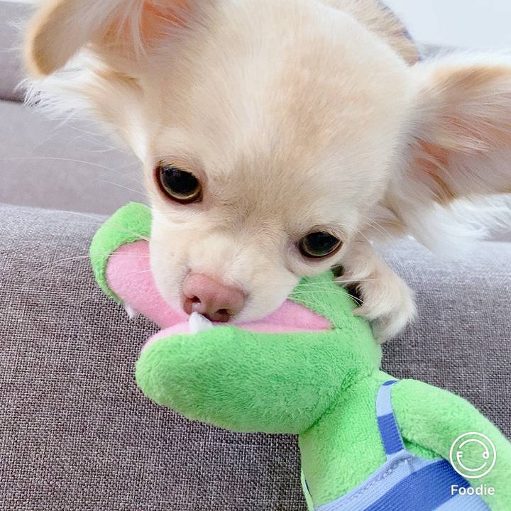 Dd1d25e3 4528 4171 9620 9c6eec9ddfcf 1603785158802