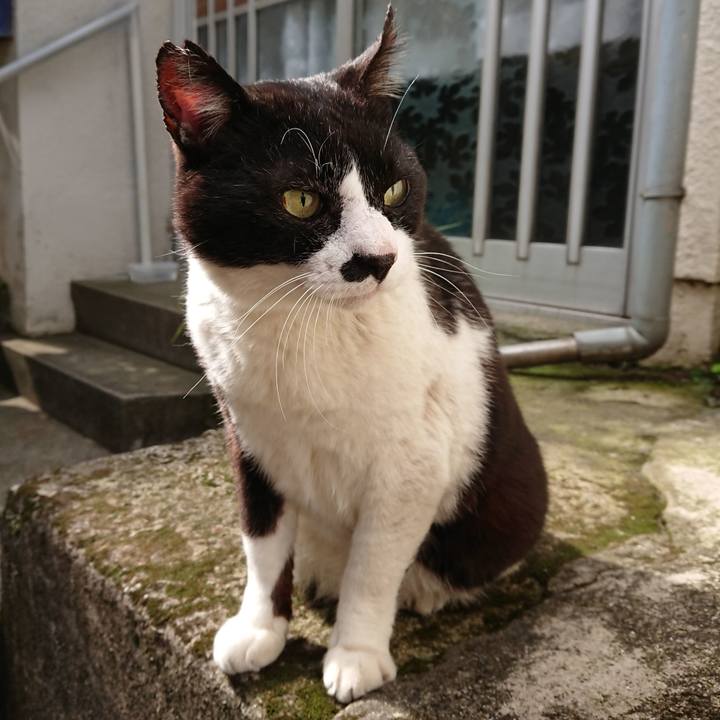 Dd1d3e78 20b1 494d 9047 8d7120fd1e0e 1590621162755