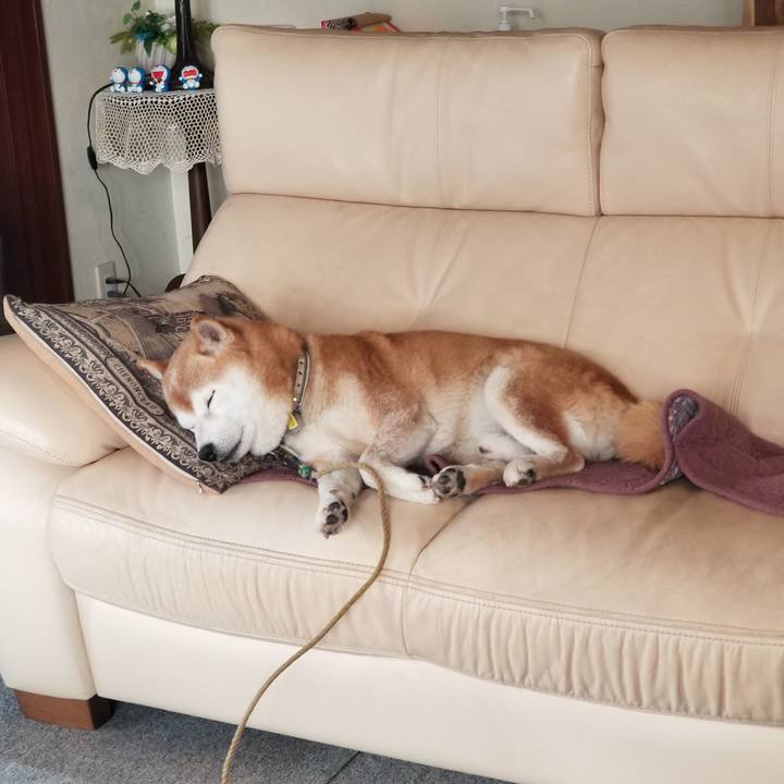 Dd1d5ab7 131d 405a bb22 81bee1d894bc 1668986926925