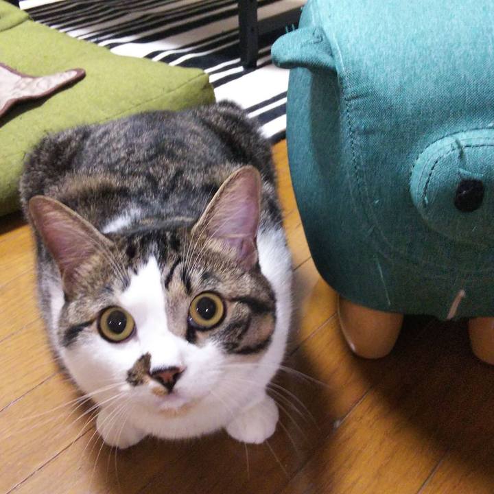 Dd1d6544 b29c 4ff4 a474 d126384e9b71 1630289312894