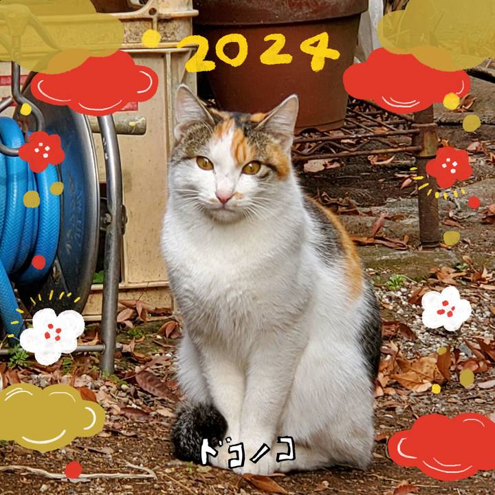 Dd1d6699 3239 40fb 8b43 a391c6158f04 1704587970490