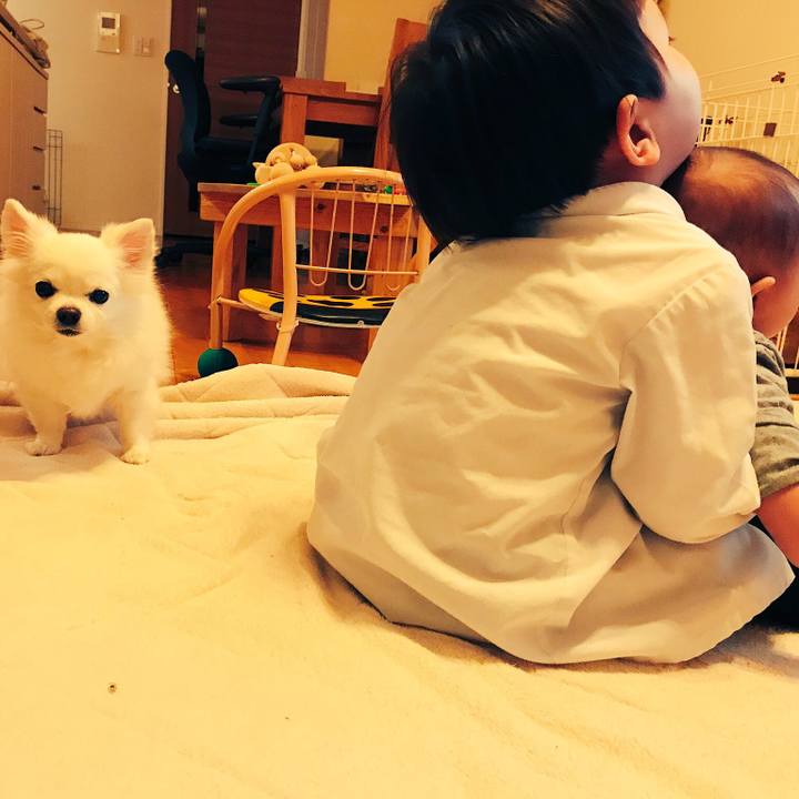 Dd1d8608 c34c 4a0b 992b d9af040c4f56 1521194986577