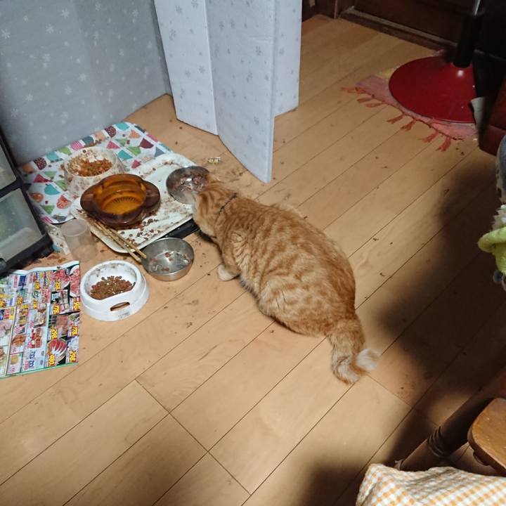 Dd1d8bd2 bc31 4ad9 8a53 6bce69c85f7c 1650573696792