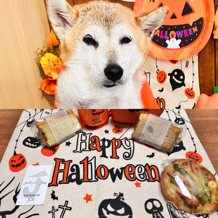 Dd1d93c7 b4d3 446b 8830 e7fd87bdc2be 1761898610268