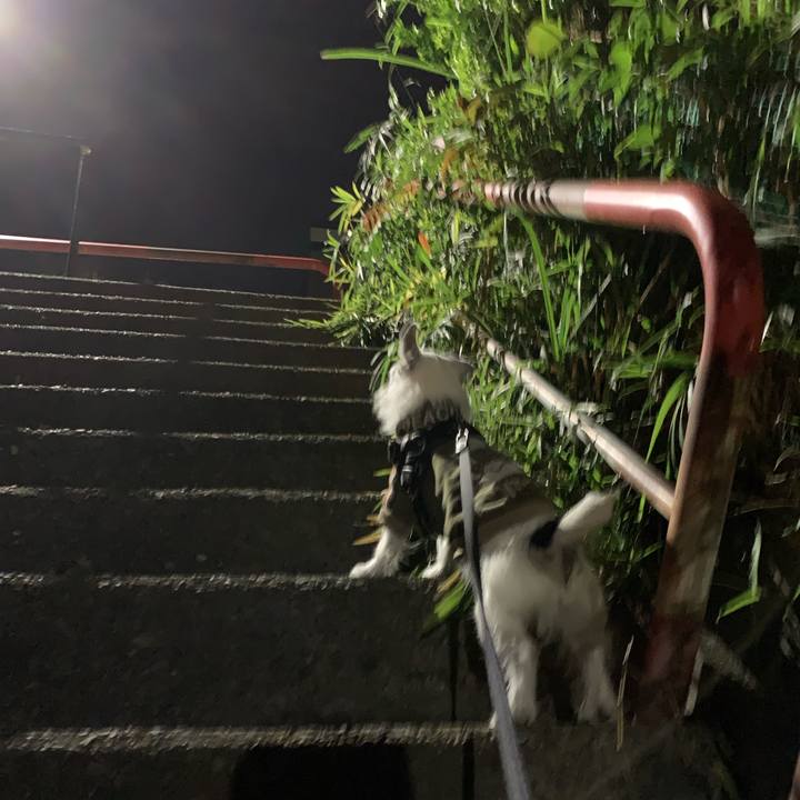 Dd1d9588 04e5 4f6d 9b7a 02901839245c 1731415348614