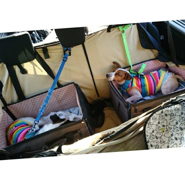 Dd1da1e0 6472 4510 870b 8c2b4a04adac 1595160970564