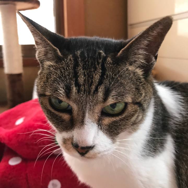 Dd1db780 fe14 47f8 864e 73667c2c33e0 1530323745535