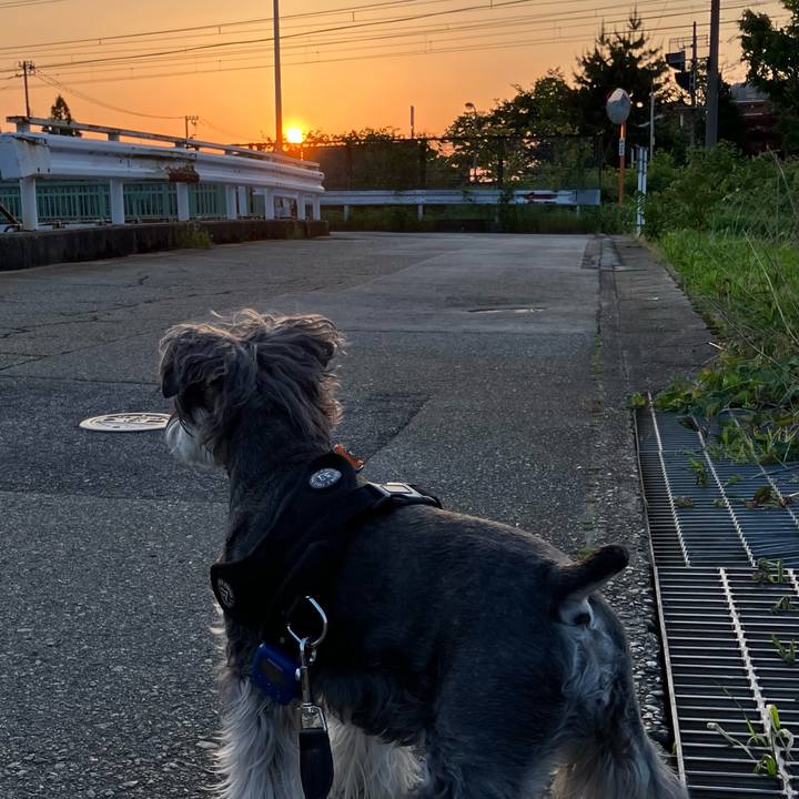 Dd1de2bf 6db1 4eb0 bd06 0ab091d83198 1747466473505