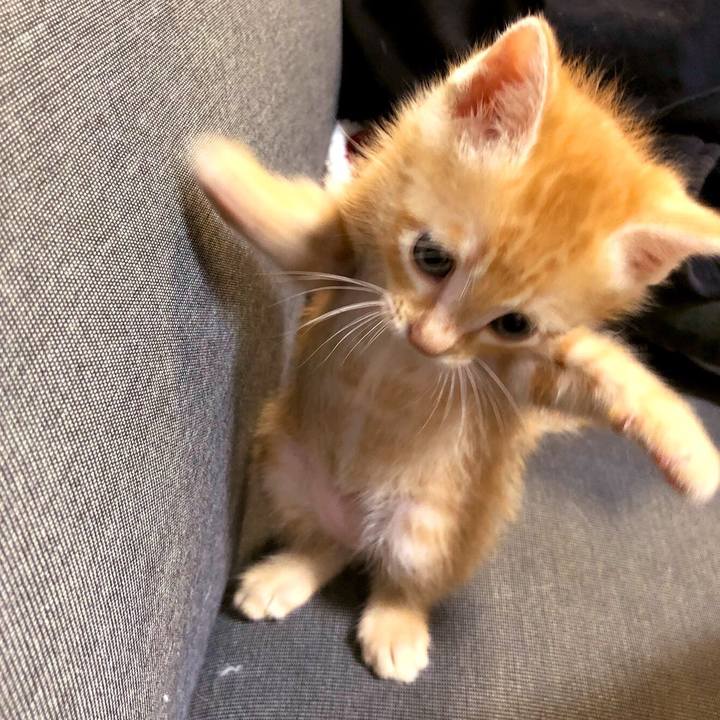 Dd1df096 96a7 4ecd a88e f894904f003e 1561211164811