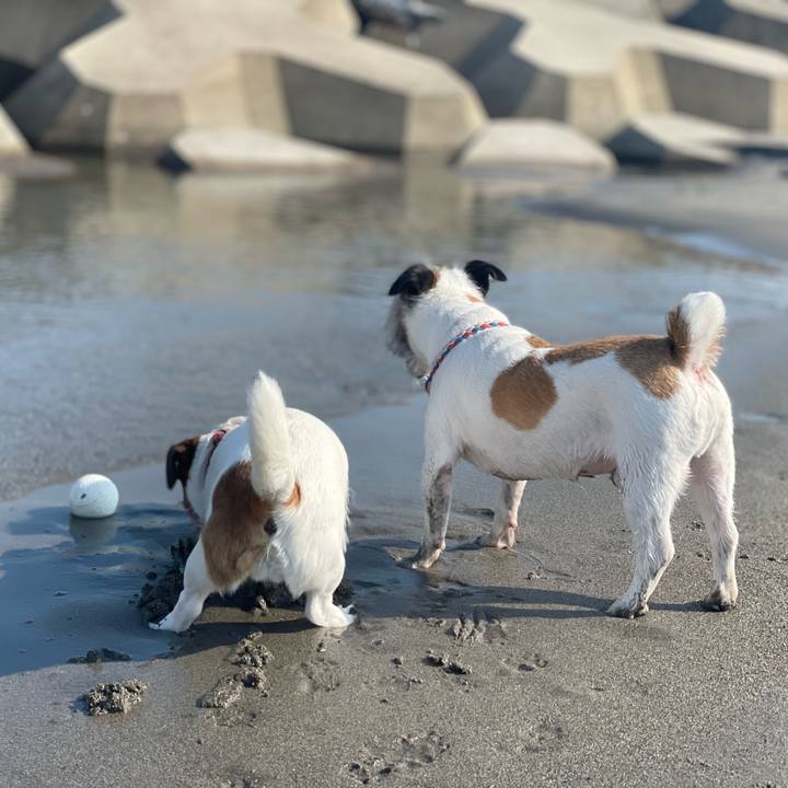 Dd1e1c5d 41cb 4fba 8bc2 e2ec488e1a61 1686097434365