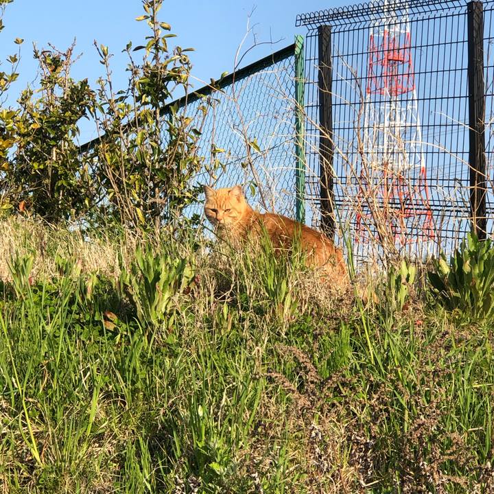 Dd1e496f 8ae5 499d 88b2 eae98cb44912 1587807374629