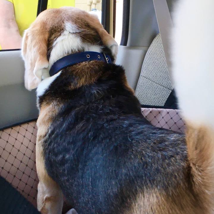 Dd1e98e1 9ee9 44c1 9900 95099ff5b2d9 1569893503234