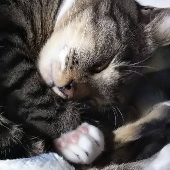 Dd1eb989 6894 42ac 80d2 3d14268608a0 1601765037562