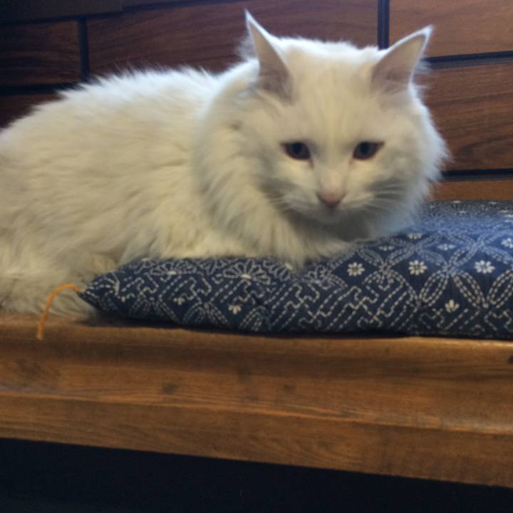 Dd1ec33d 95f1 48cb bb88 06a50f3a8c01 1515968864429