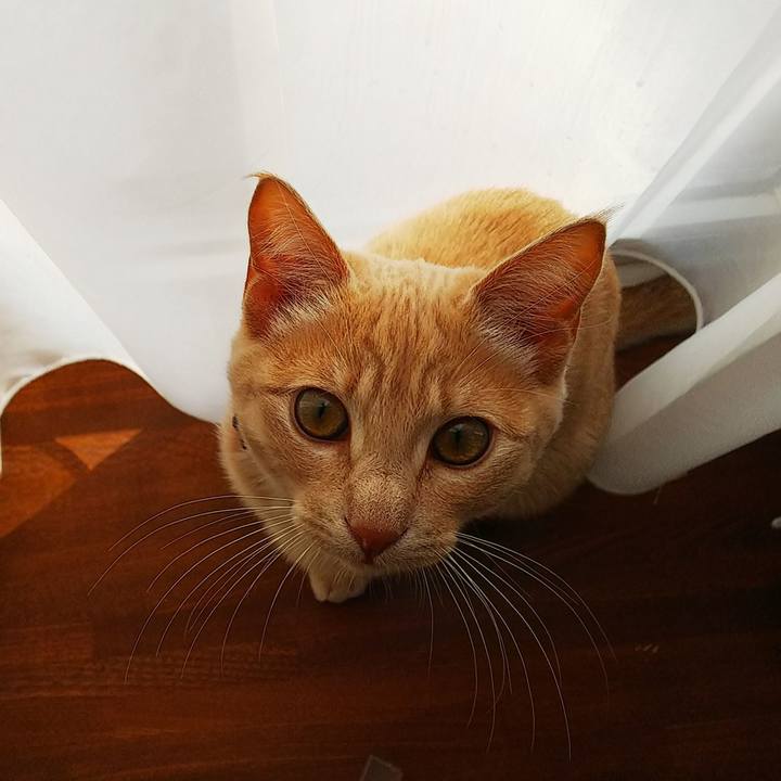 Dd1ec913 5f78 45a8 9c3f 16c1d8b239bc 1545622284953