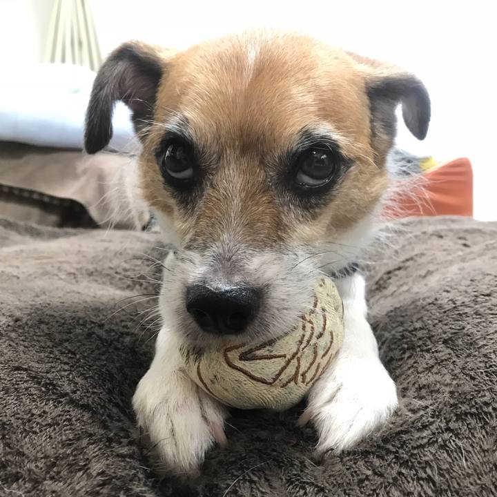 Dd1eed3c 32b5 4b43 8063 c5b7c8131dc6 1535877634195