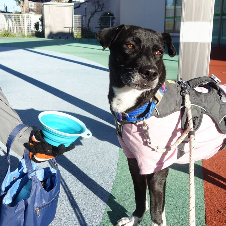 Dd1f2751 6ab2 4f3b b289 c85ed02af4aa 1639961224947