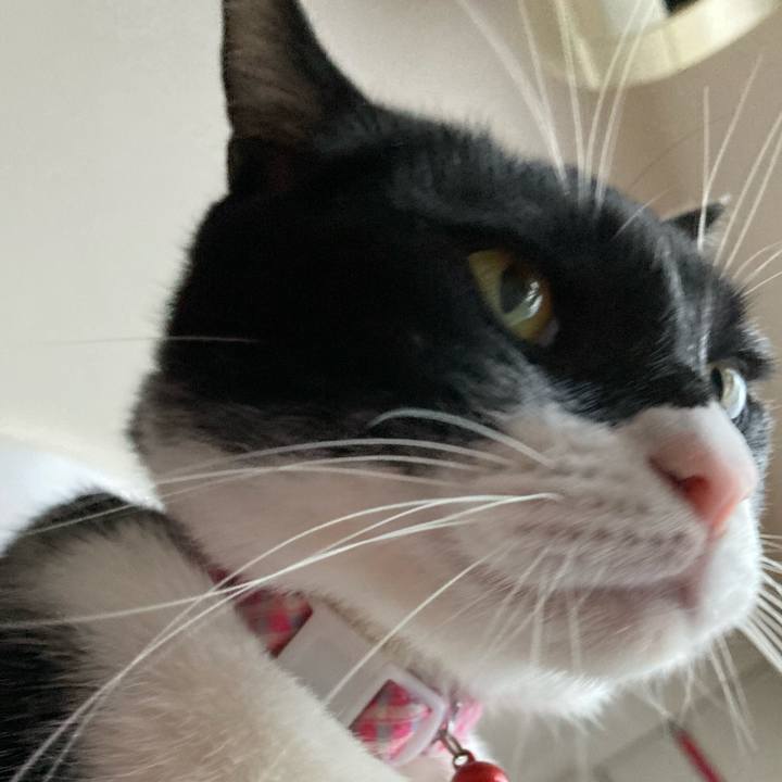 Dd1f5272 1dbf 4350 978c 54a2b893218a 1612329061156