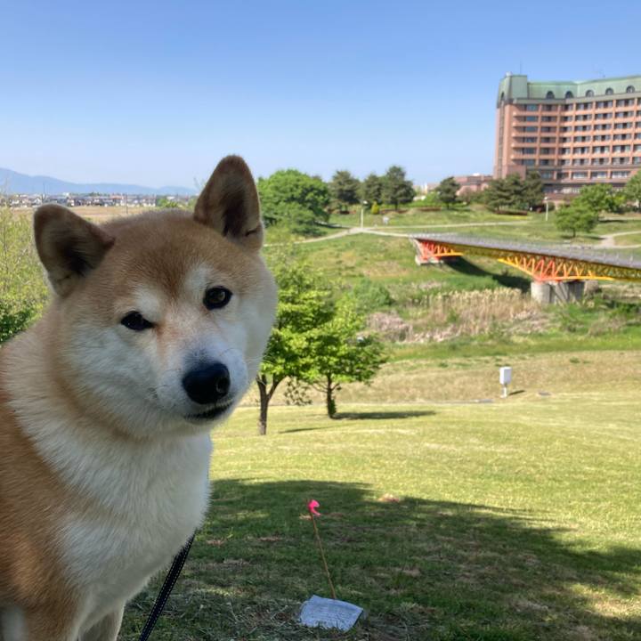 Dd1f964a 6a97 456f 8e5d 8f5118ff3bc0 1714713213731