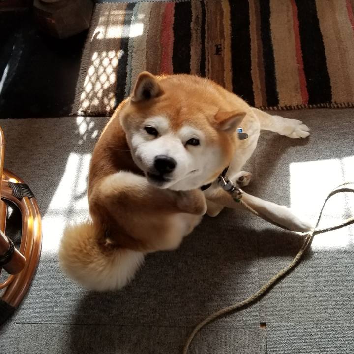 Dd1fba21 0786 4625 a009 cd812138d66a 1620084567254