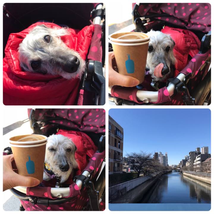 Dd1fcc7b 1fa8 4898 90f2 38dd8d0eb2df 1548133313720