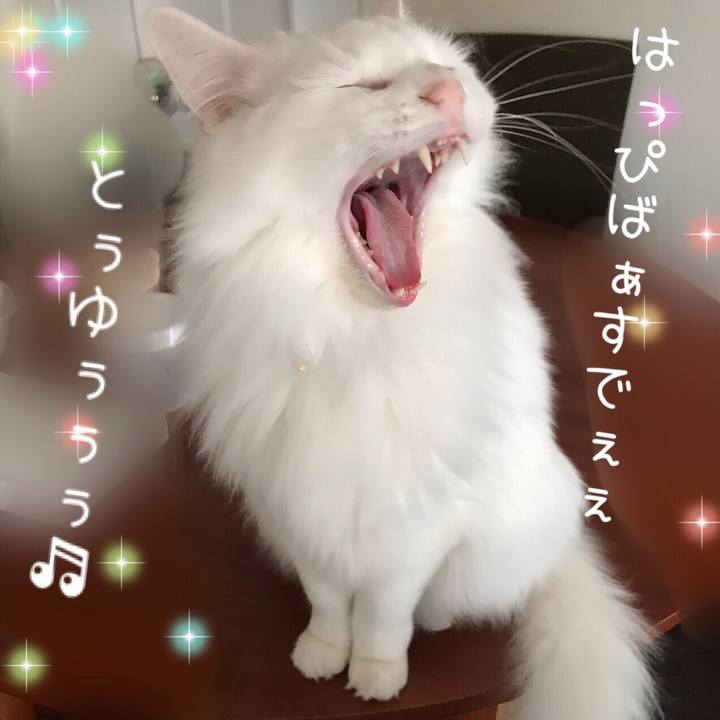 Dd1fed97 1619 4747 b75e 90cdb8ba86ae 1551181681315