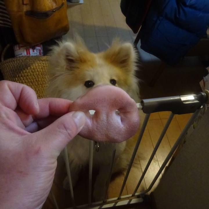 Dd20072d 32f2 41fe 8710 c240175a129d 1610191766455