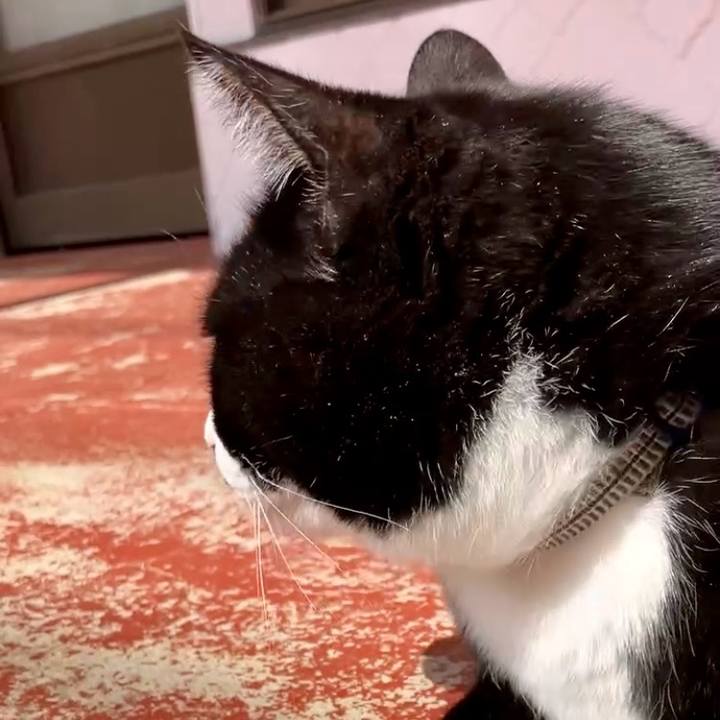 Dd202cd4 e239 4de1 b550 a082ddd30b73 1743386290373