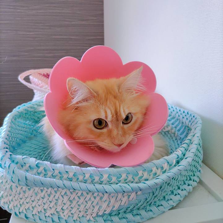 Dd2039e5 0909 40c1 879e 43075f750221 1723697489782