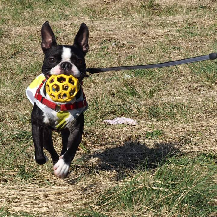 Dd204fb4 ae67 4b3f bac0 d59d248cb089 1572871333337