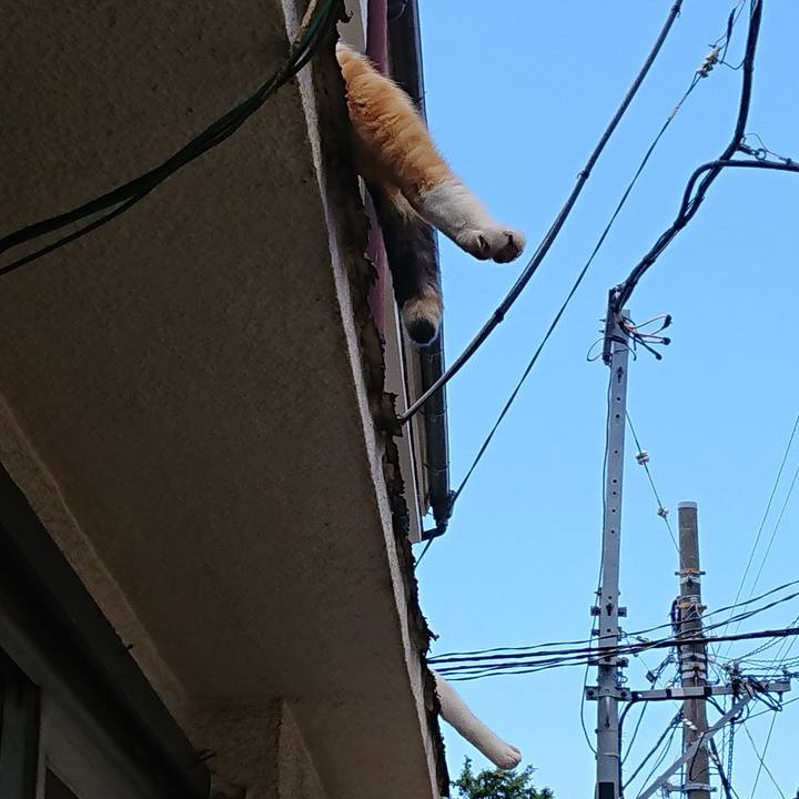 Dd206185 1923 498f 8037 6f155344290d 1560657513577