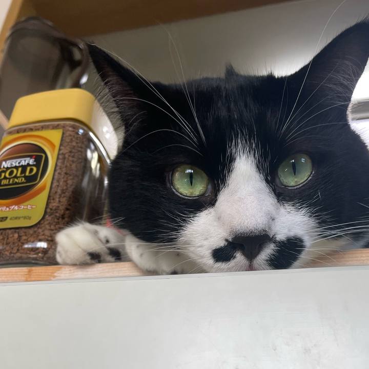 Dd20672c 72ff 4da0 bf2c 19c946bafcf8 1693267567672