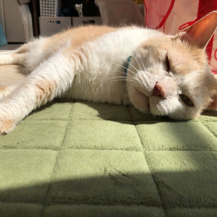 Dd207673 4a73 4947 8e98 d5ad56b3fe06 1622253207778