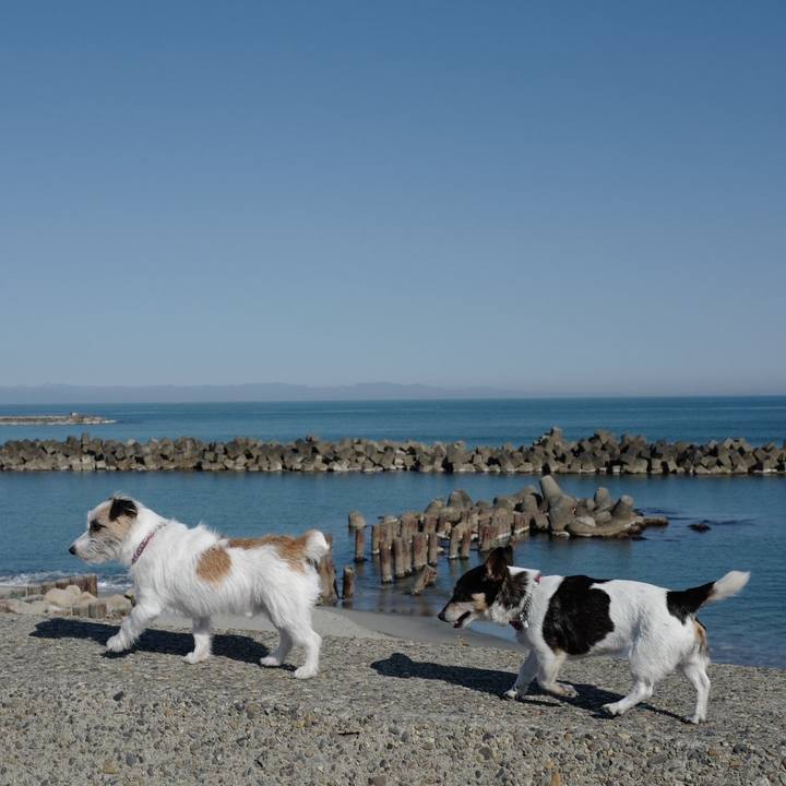 Dd207a48 38e9 4c82 b3bb 92db55f37c11 1557031136863