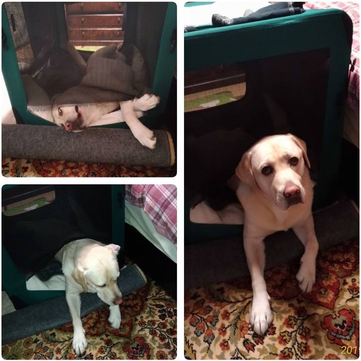 Dd20969a e7d6 4e0e 988b e42e7d64d93c 1573657643364