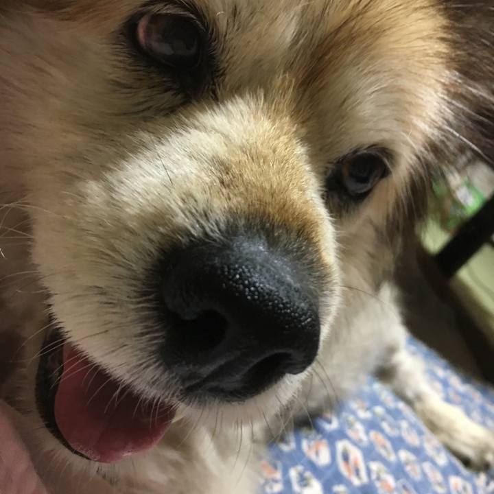 Dd20c620 55a4 4020 a844 14aaec323de5 1590975346020