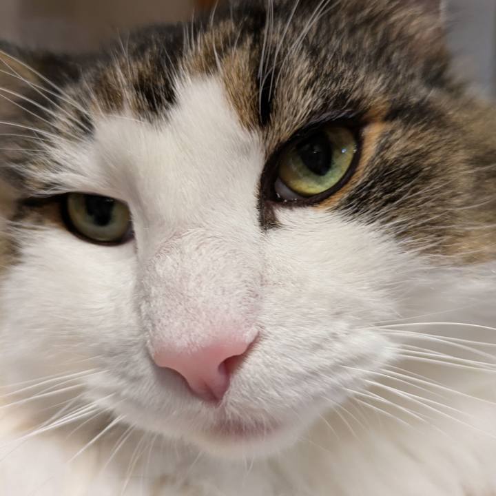 Dd20c91b b64b 4b76 9e2f bb5b4bbe4961 1762516582089