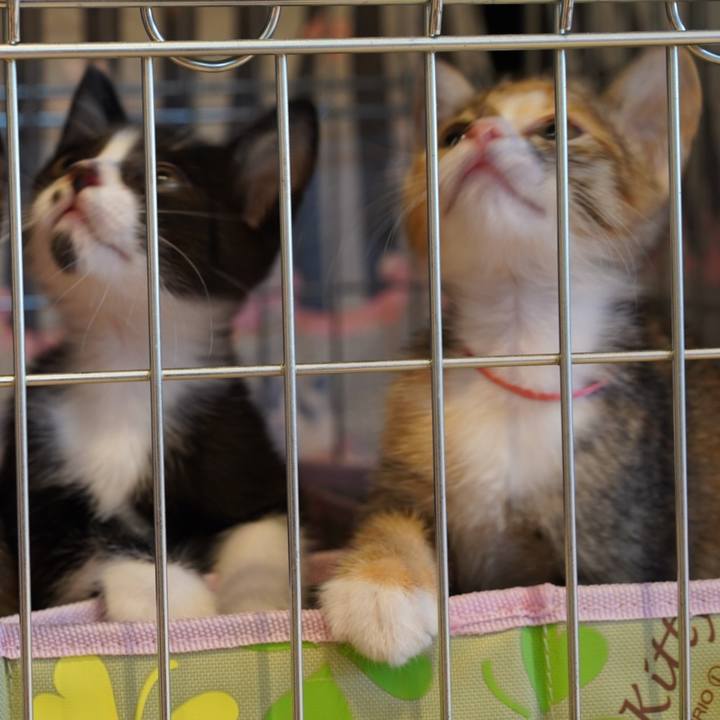 Dd20f101 0b97 4afb a0f1 ab814388d344 1566985236670