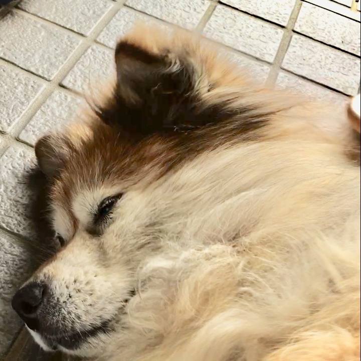 Dd213a60 856b 40bd 9bd5 0d3b090019d0 1609724728862