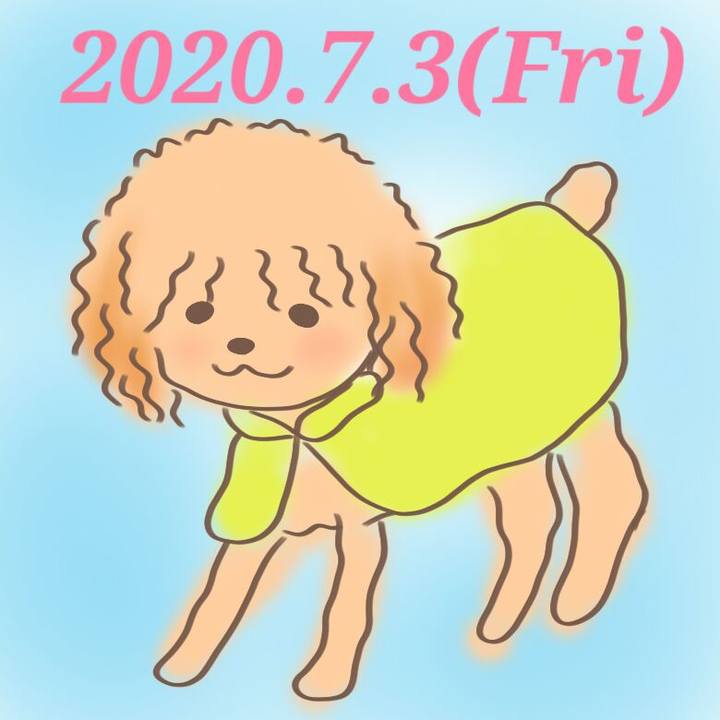 Dd21463d 902f 4a8e 99c6 d9e926be95f2 1593779411459