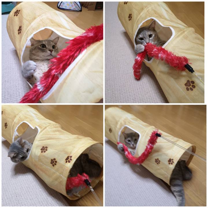 Dd214dfe 7701 48a4 b3af b704d641ee42 1572047324355