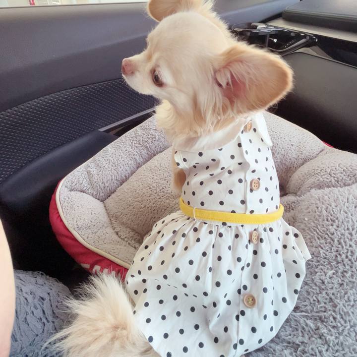 Dd215664 16ba 4693 ab9e cec45ab16c63 1752993214123