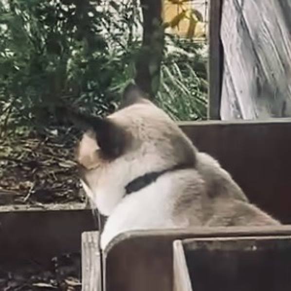 Dd2158d3 62b5 4408 9f20 5b6a37d9c6ad 1730531908275