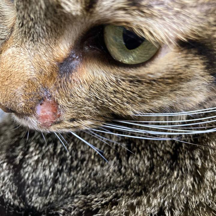 Dd215d40 93ab 4a73 9711 a1deec75b7aa 1640912936384