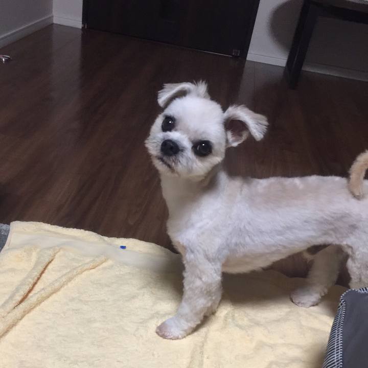 Dd219194 ec90 43cd 9704 4ef14de53f79 1533766693830